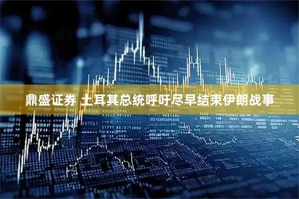 鼎盛证券 土耳其总统呼吁尽早结束伊朗战事