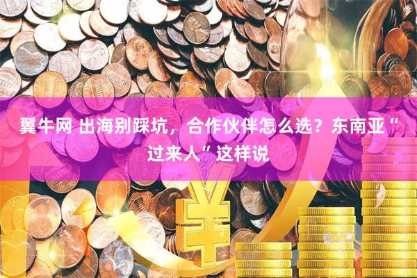 翼牛网 出海别踩坑，合作伙伴怎么选？东南亚“过来人”这样说