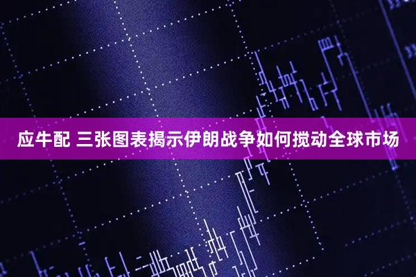 应牛配 三张图表揭示伊朗战争如何搅动全球市场