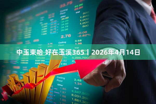 中玉束哈 好在玉溪365丨2026年4月14日