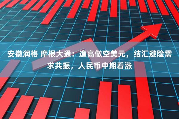 安徽润格 摩根大通：逢高做空美元，结汇避险需求共振，人民币中期看涨