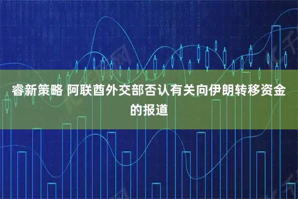 睿新策略 阿联酋外交部否认有关向伊朗转移资金的报道